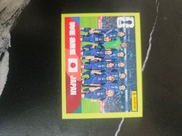 JPN 13