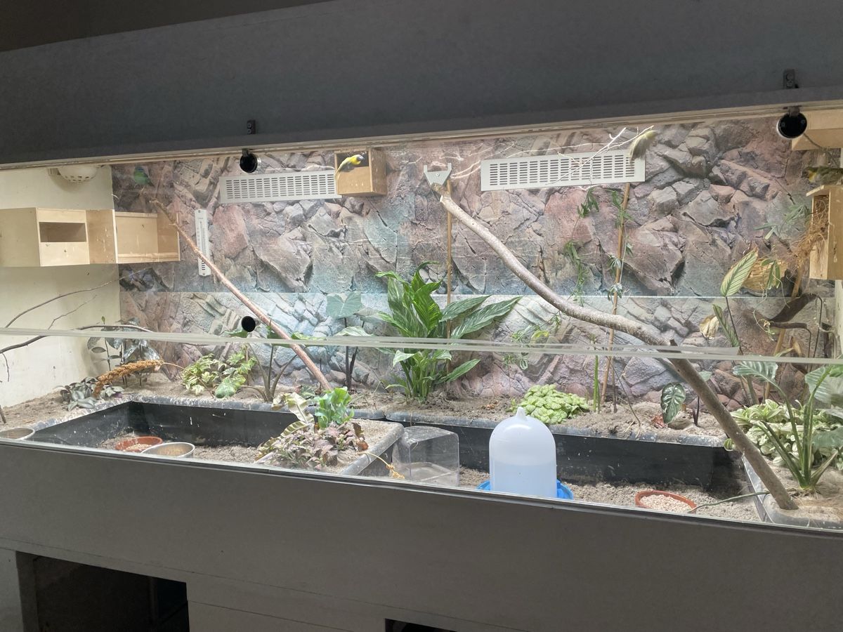 Terrario: Voliere/Terrarium Eigenbau  – Usato da Beromünster venduto da sie_7gkf 1