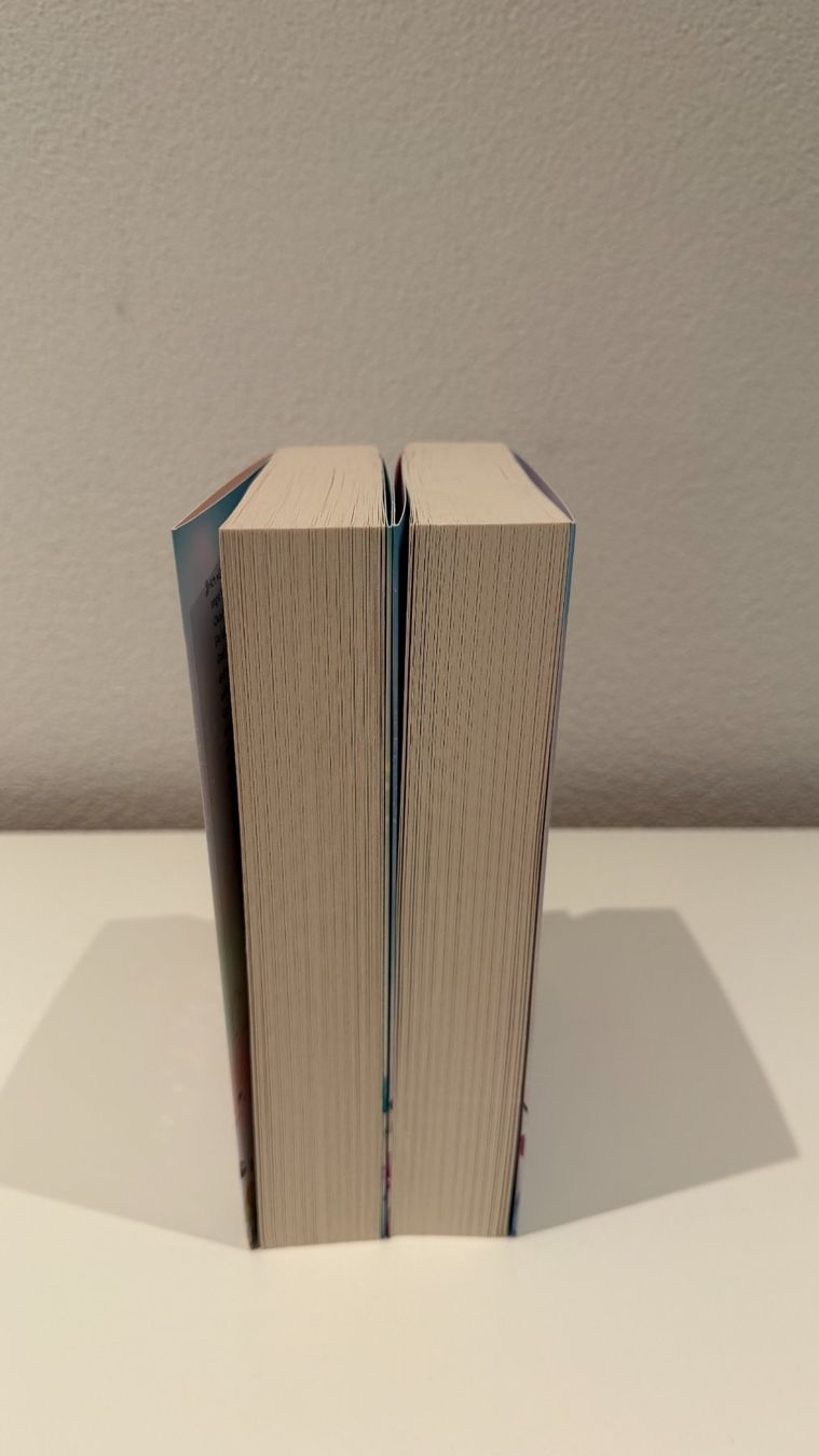 Livres: Lilienhof Dilogie - Bianka Behrend – Neuf (Voir description) à Romanshorn par darinaah 3