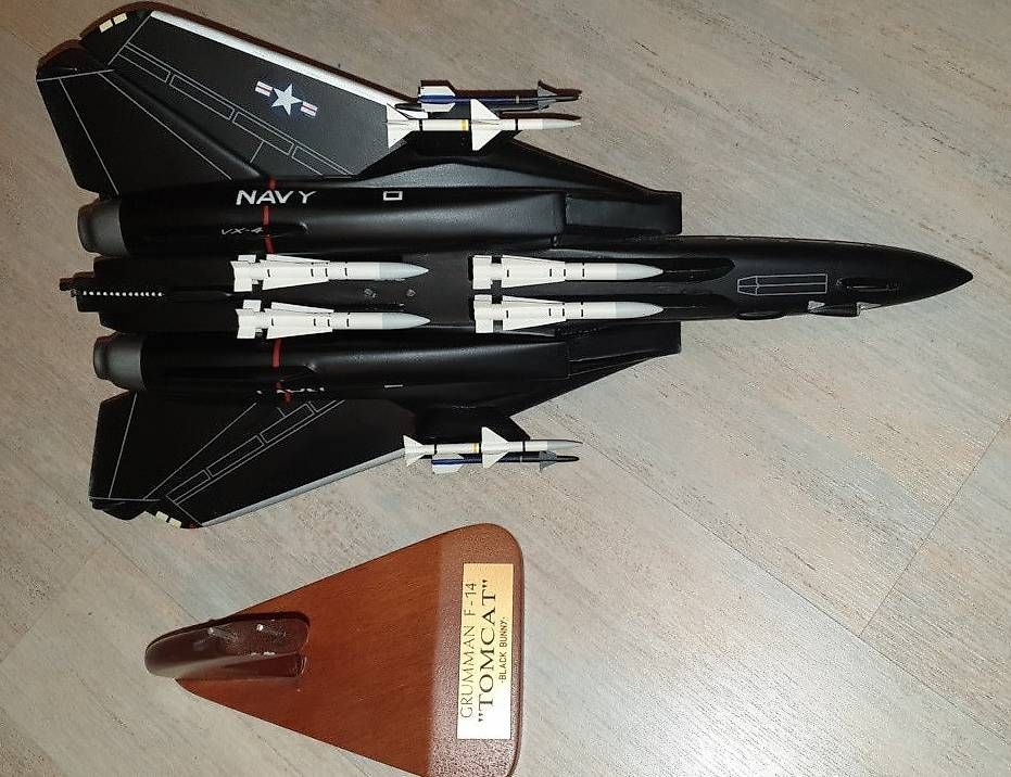 Kit di modellismo & Modellini statici: F14 Tomcat Holz Modell – Usato da Hedingen venduto da Seikai 2