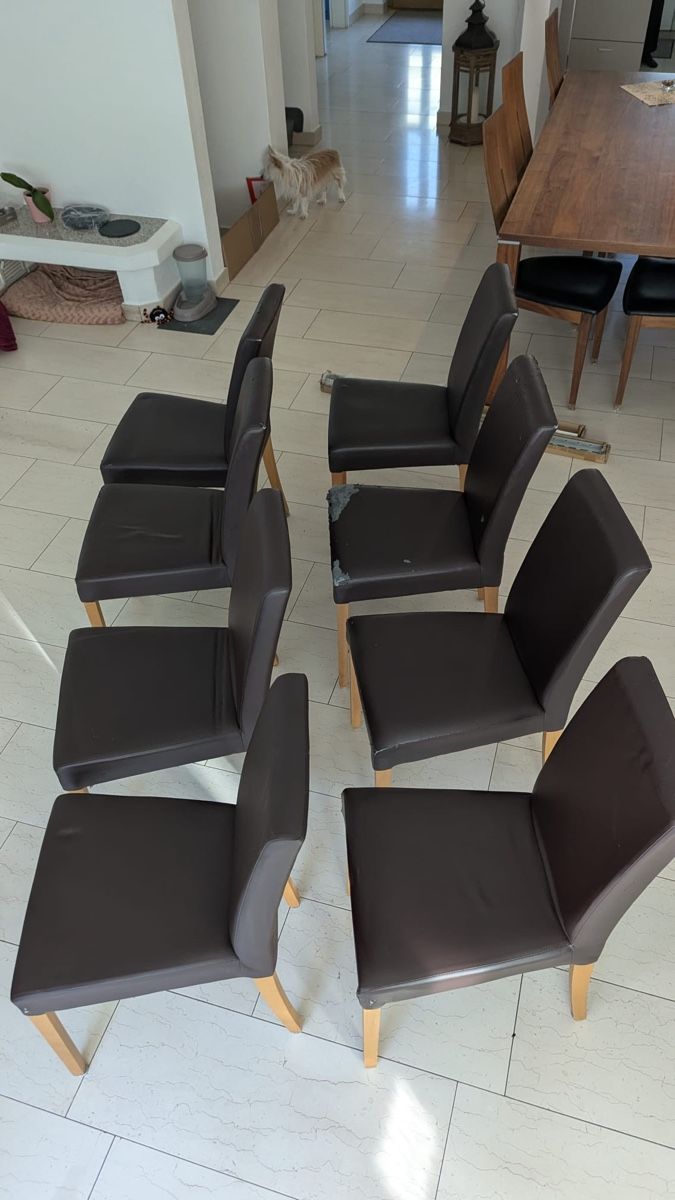 Sedie: 8x Stühle braun – Usato da Bünzen venduto da noemi_3105 4