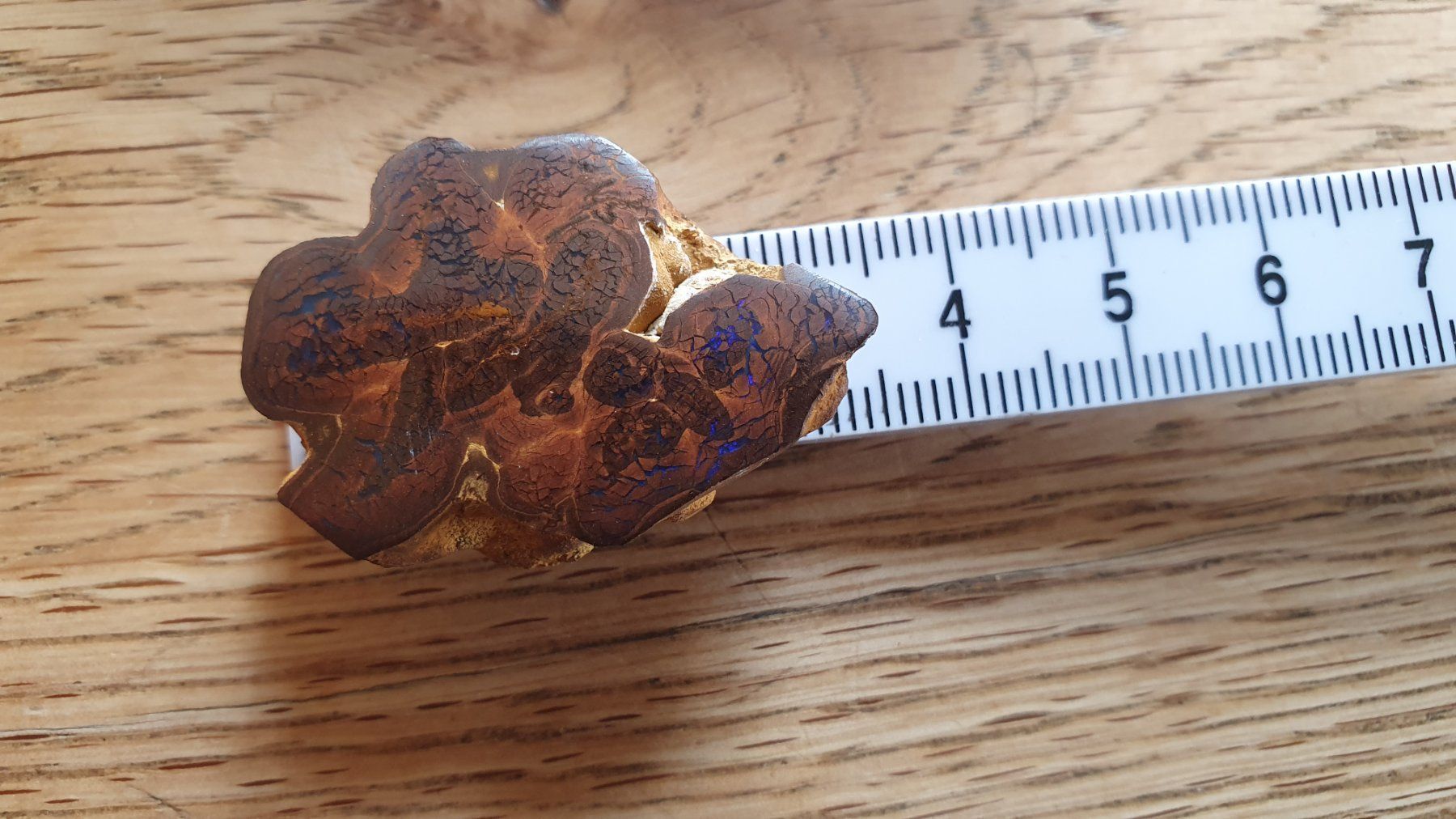 Pietre preziose: Boulder Opal – Usato da Flawil venduto da Naphtali