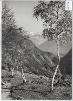 Blaukreuz Jugendwerk - Im Wallis (Martigny)