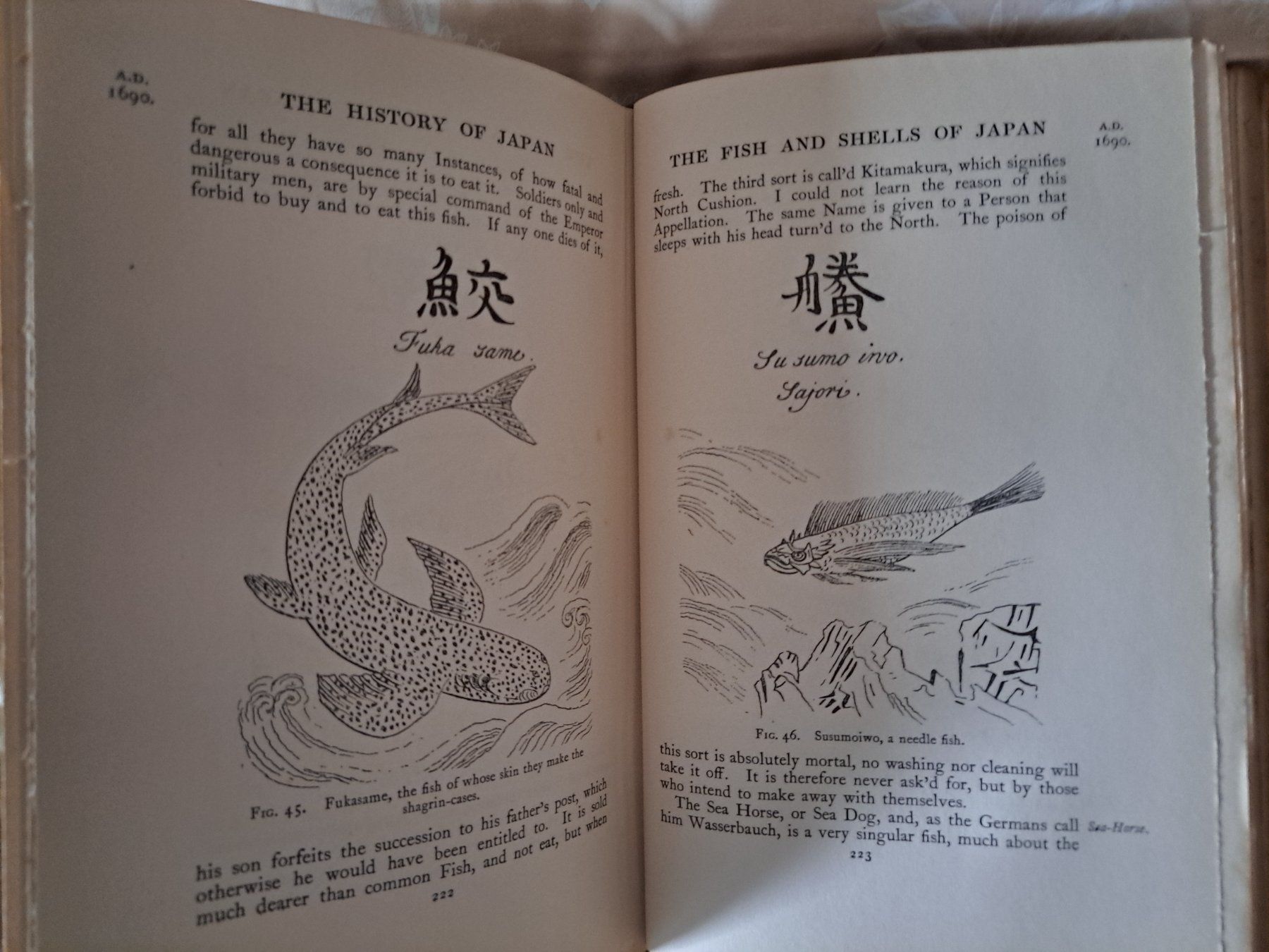 Libri: Old books – Usato da Wettingen venduto da geo_7yn7 5