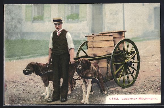 Cartoline postali: Luzern, Milchmann mit seinem Hundegespan – Usato da Berlin venduto da bartko-reher