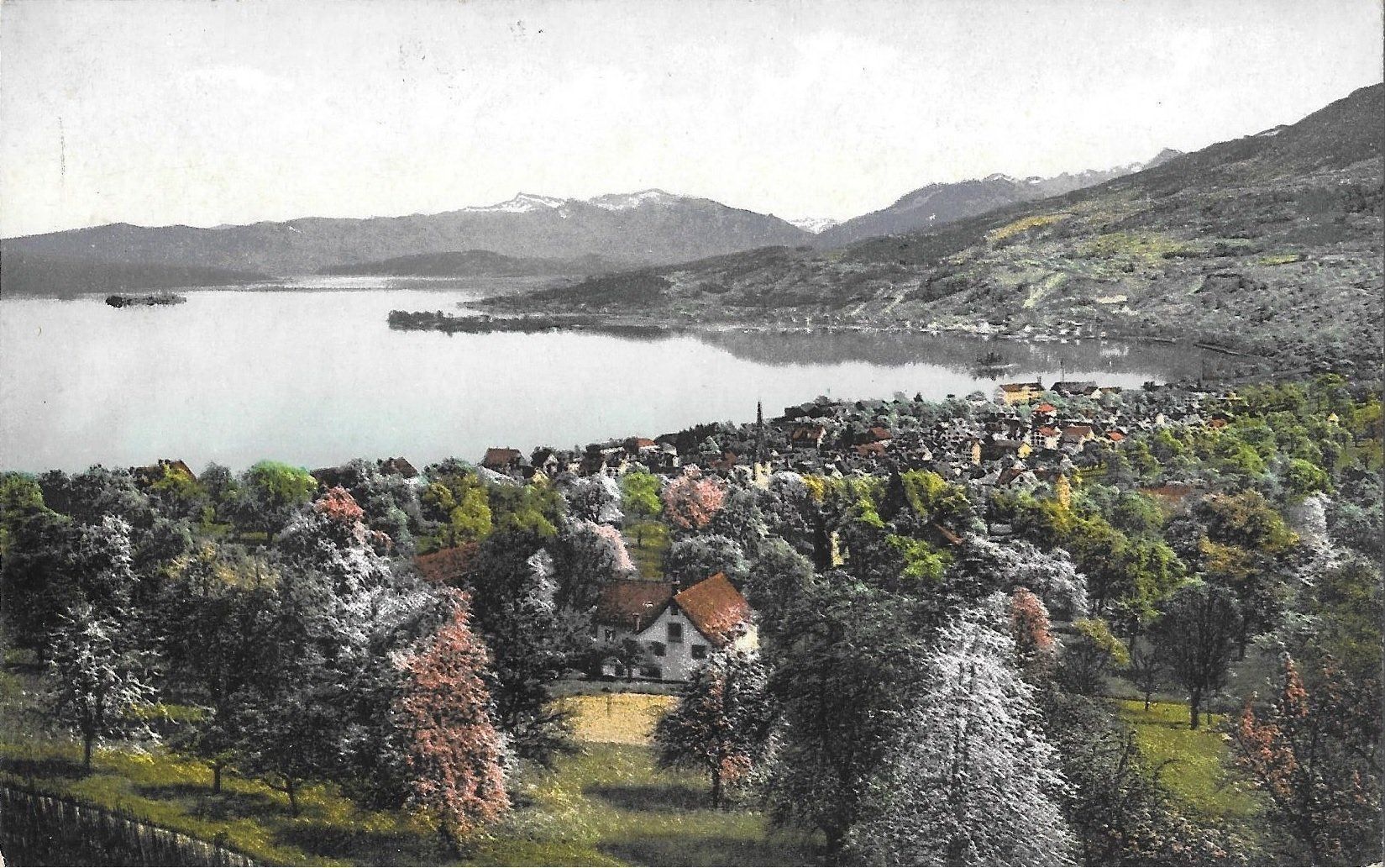 Cartoline postali: Richterswil Gesamtansicht – Usato da Olten venduto da clotaldi