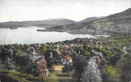 Richterswil Gesamtansicht