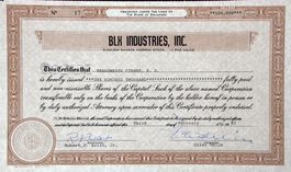BLX Industries Inc. - 1982