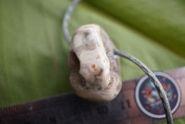 Ozean Achat Gelocht  Anhänger    –Edelsteinstube Rausverkauf