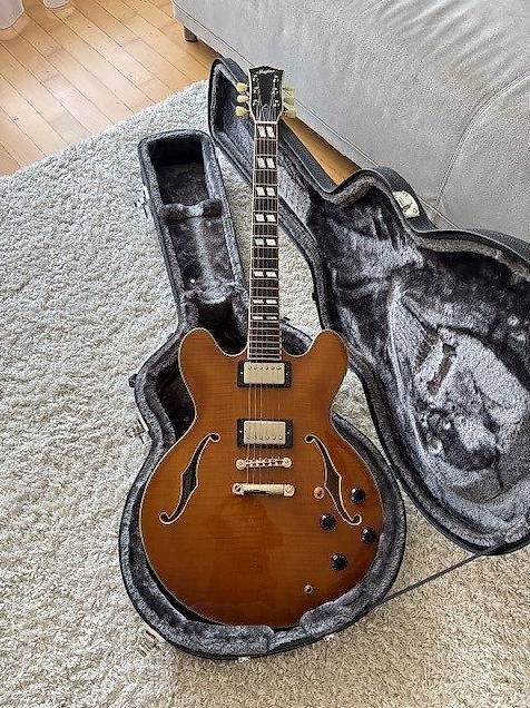 Instruments de musique: CR Thinline 35, Nitrolackiert ! – D'occasion à Regensdorf par jannis02