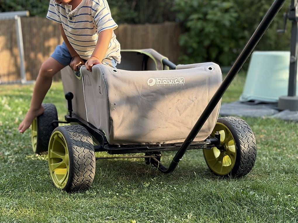 Anhänger: Chariot pour enfants / chiens – Gebraucht aus Chavornay von knightmare34th