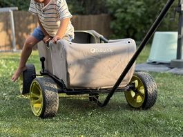 Chariot pour enfants / chiens