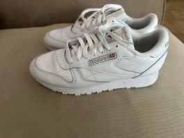 Reebok Classic Gr 39