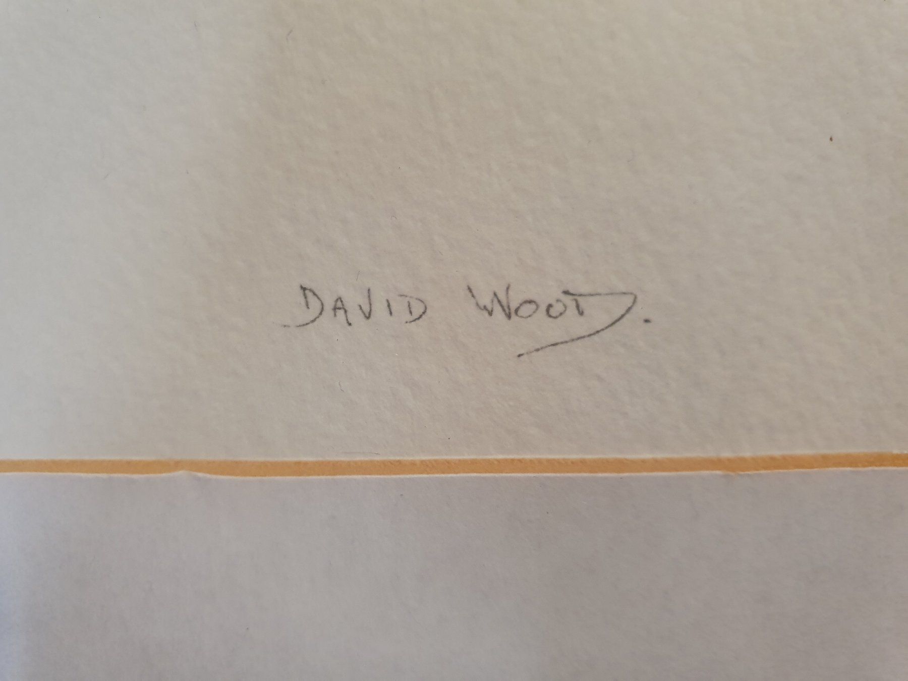 Dipinti: Stilleben David Wood 39 x 46 – Usato da Zürich venduto da loosebone 1