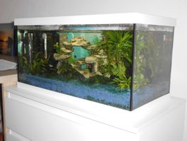 Aquarium komplett mit Fischen 54 Lt.