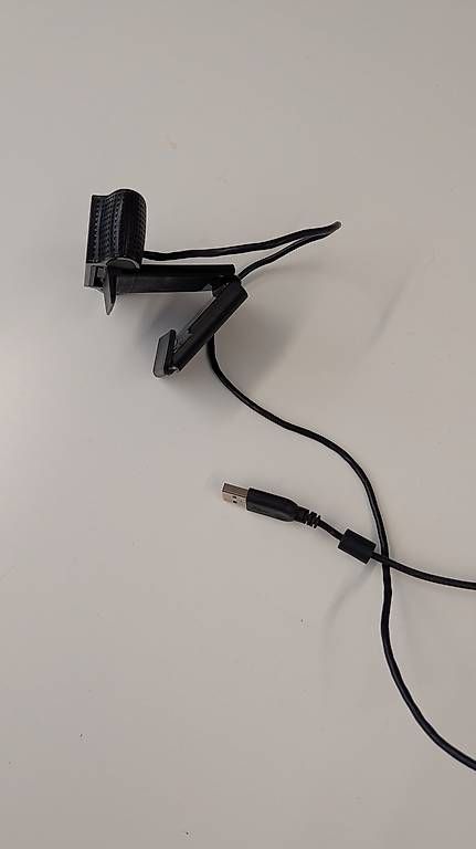 Webcam: Logitech HD webcam inkl. Stereo Audio with Dual mic – Usato da Zürich venduto da chr_5kjh 1