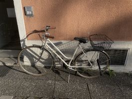 Cilo Damen Velo