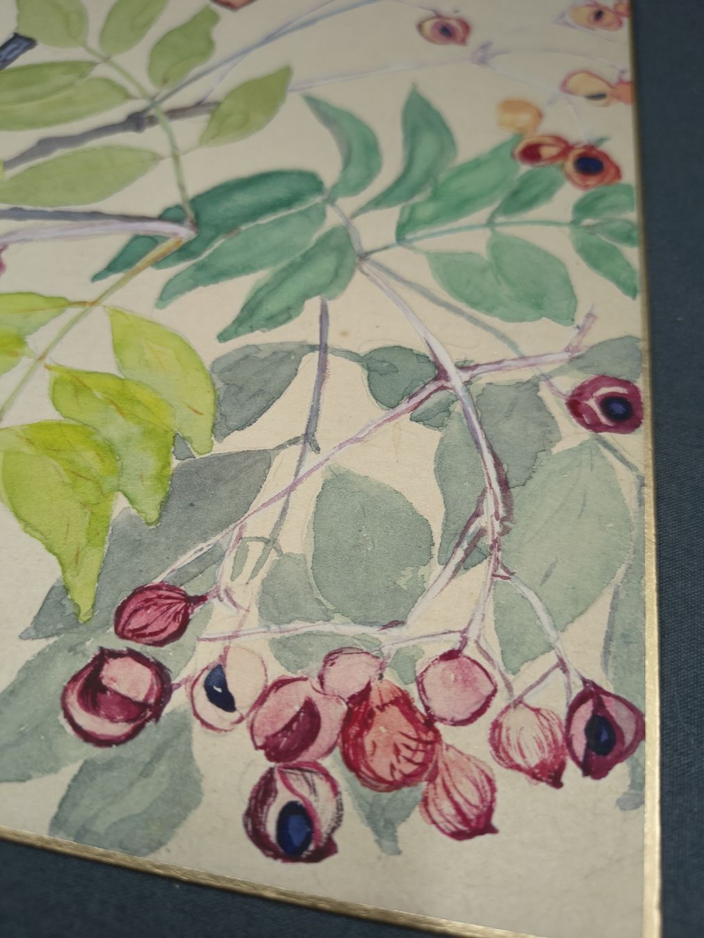 Gemälde: Japanese paintings – Gebraucht aus Vevey von cos-vero 1