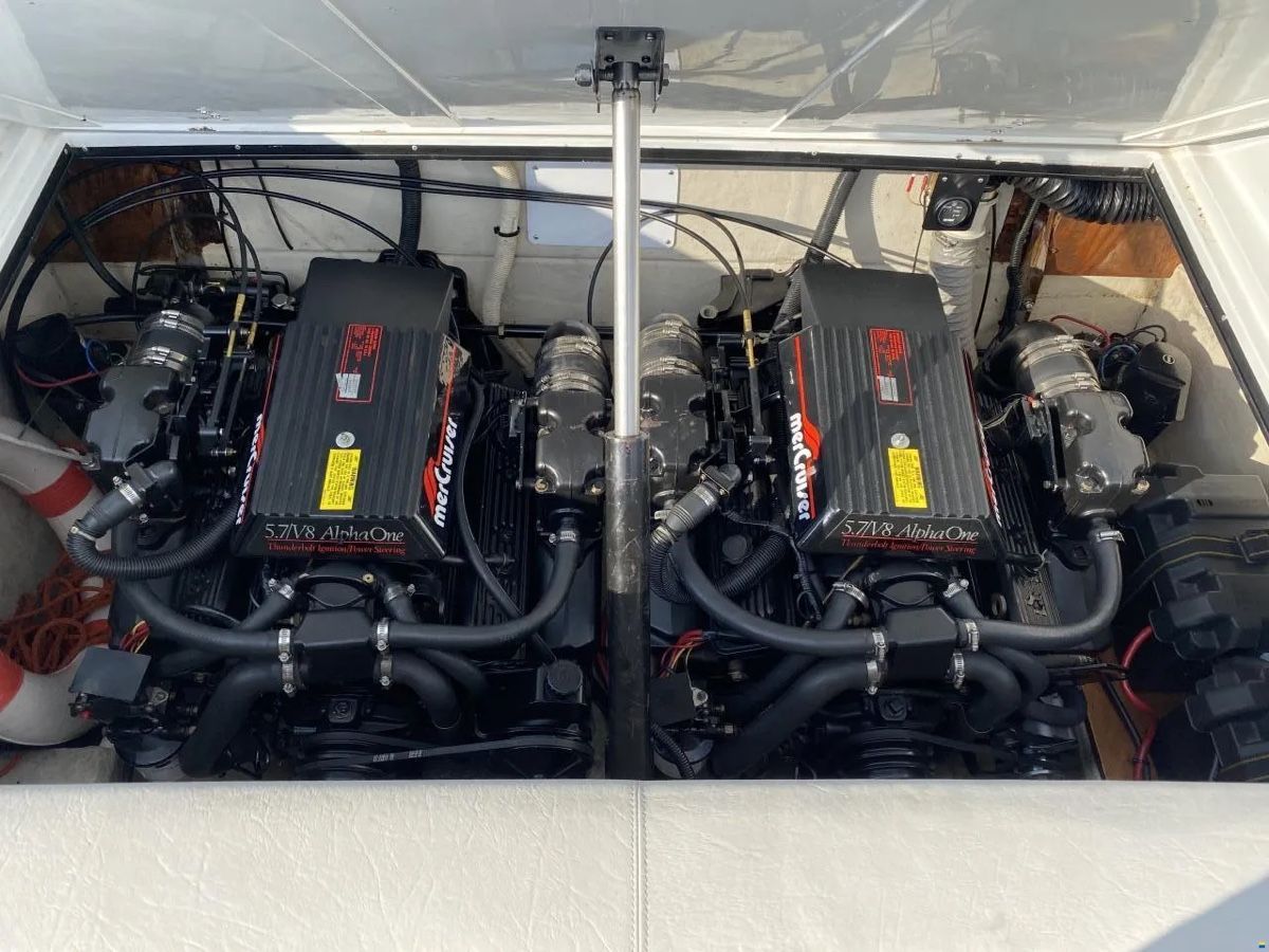 Wellcraft Barche: Wellcraft Nova 3 Sportboot – Usato da Immensee venduto da basi.marco 3