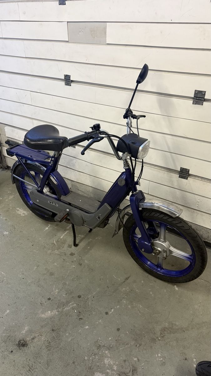 Piaggio Cyclomoteurs: Piaggio Ciao – D'occasion à oftringen par babanico 3