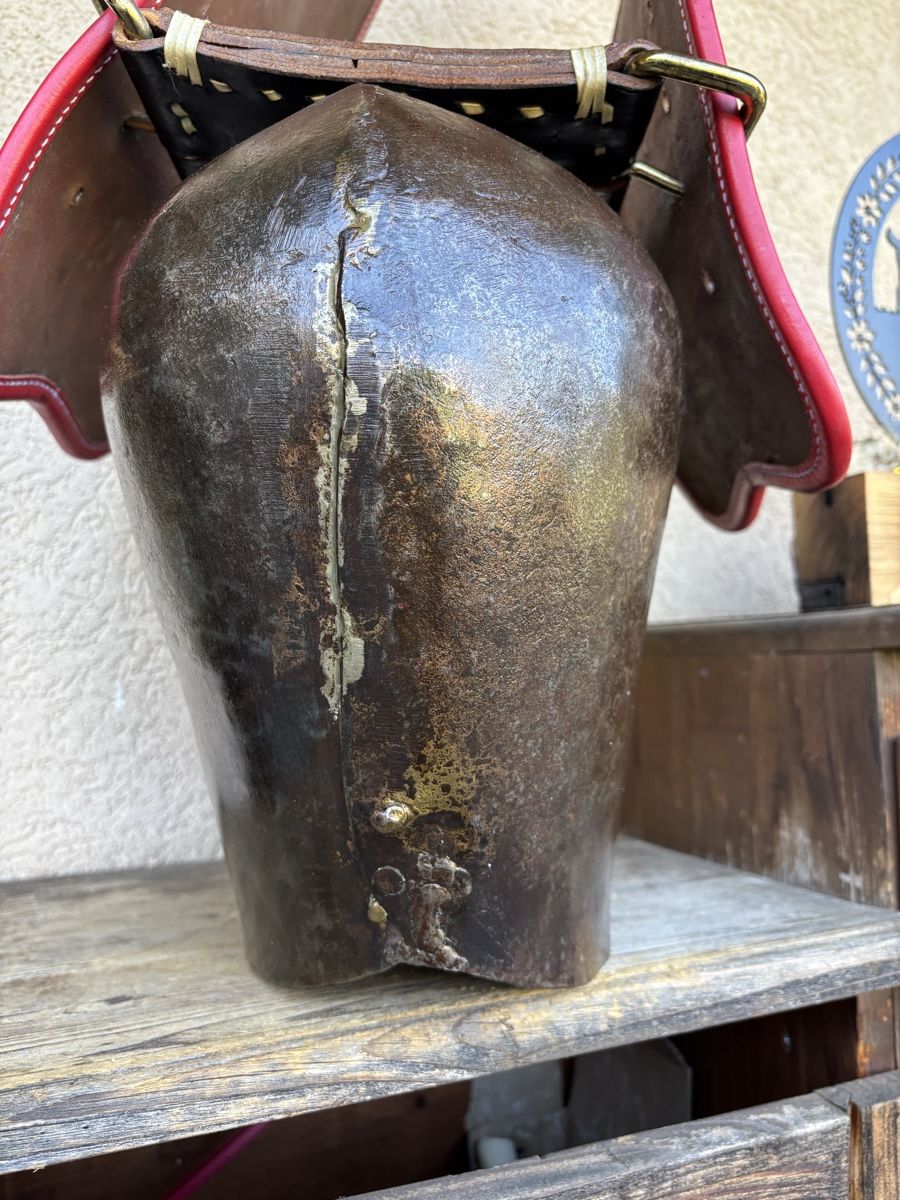 Campanacci mucche: Guibat NR 8 – Usato da Schangnau venduto da Roseggli82 6