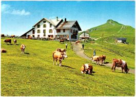 (Hotel) MÄNNLICHEN 2227 m - Männlichen 2341 m ca. 1965 (BE)