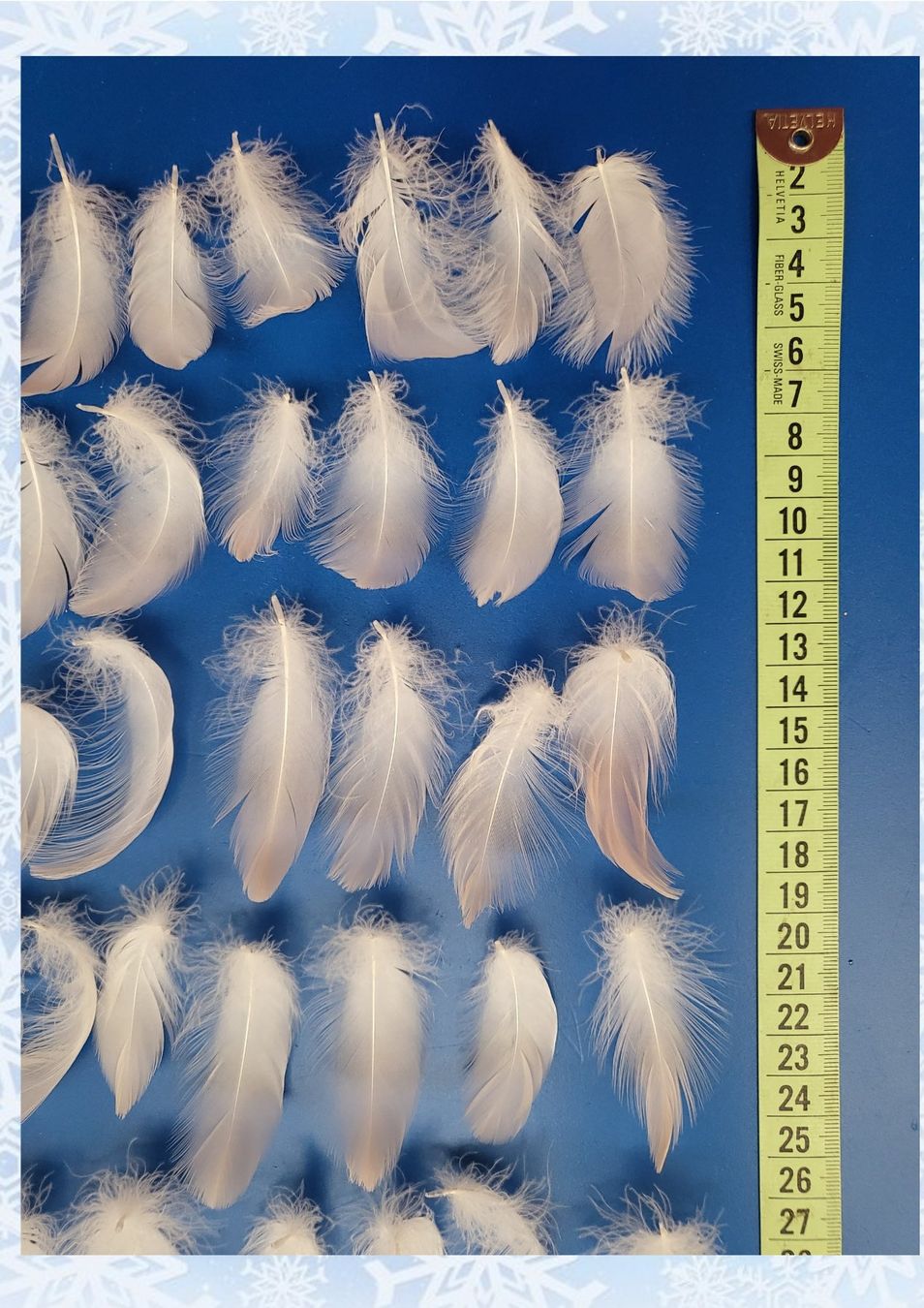 Il mondo degli animali: Flamingo-Federn flauschig;  60 Stk. 4...9 cm lang – Usato da Linden venduto da Mb2bb 3