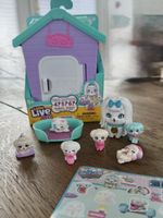 Little Live Pets Surprise Haus Malteser