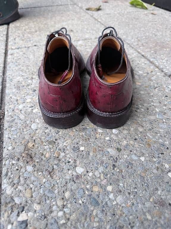 Herrenschuhe: Straußenlederschuhe Vitale Quartier Gr. 4445 inkl. Spanner – Gebraucht aus Basel von harry 1