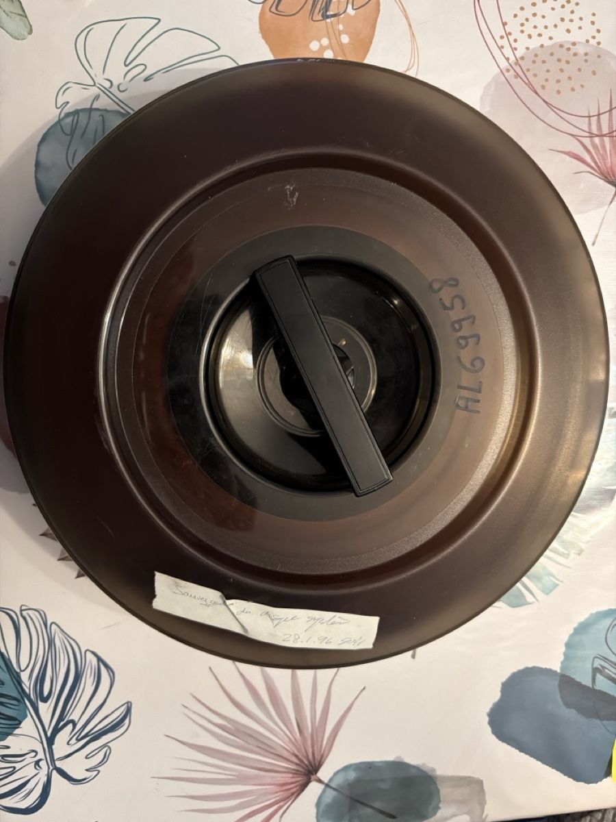 Dischi rigidi: Anciens disques durs – Difettoso da Martigny venduto da capri2800