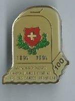 Grenzwache  - 100 Jahre Jubiläum 1894-1994, Pin