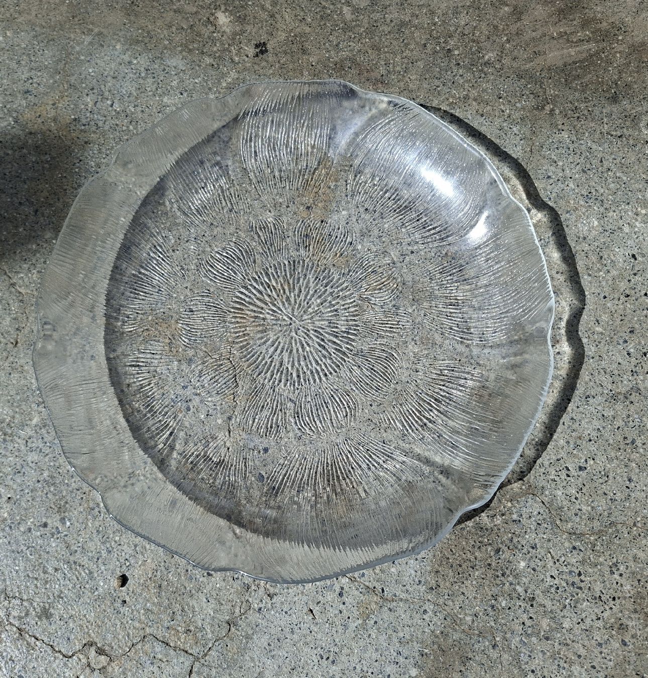 Assiettes: Glasteller – D'occasion à Sargans par sonja042 1