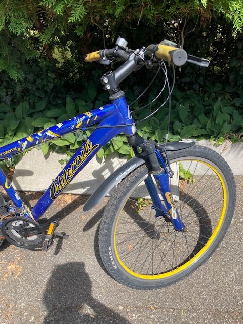 Velos: velo  – Gebraucht aus Rapperswil SG von chritega