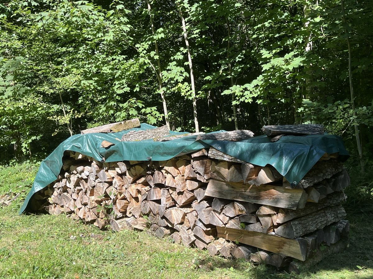 Articoli in legno: Brennholz 4 Ster Esche 2jährig – Usato da Schlatt TG venduto da Anlk
