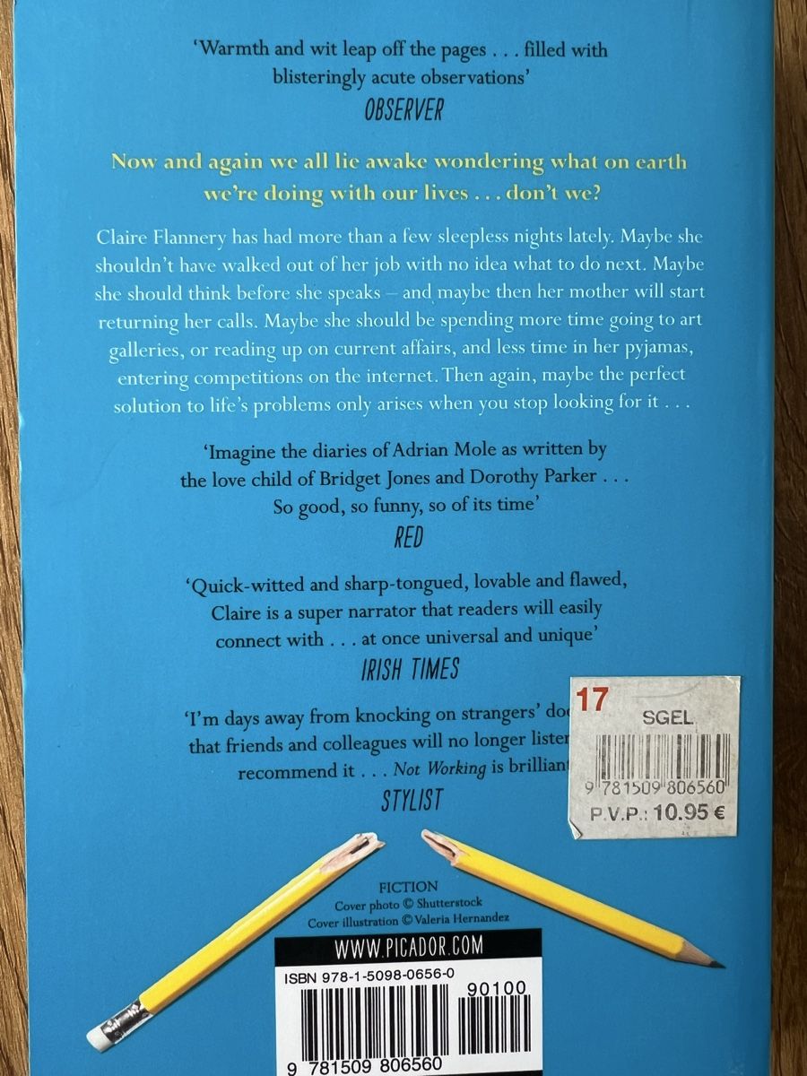 Libri: Not Working / Lisa Owens – Nuovo (secondo la descrizione) da Goldau venduto da mar_spt6 2
