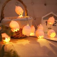 Süsse Osterdeko Eier Lichterkette 10 LED Batteriebetrieben