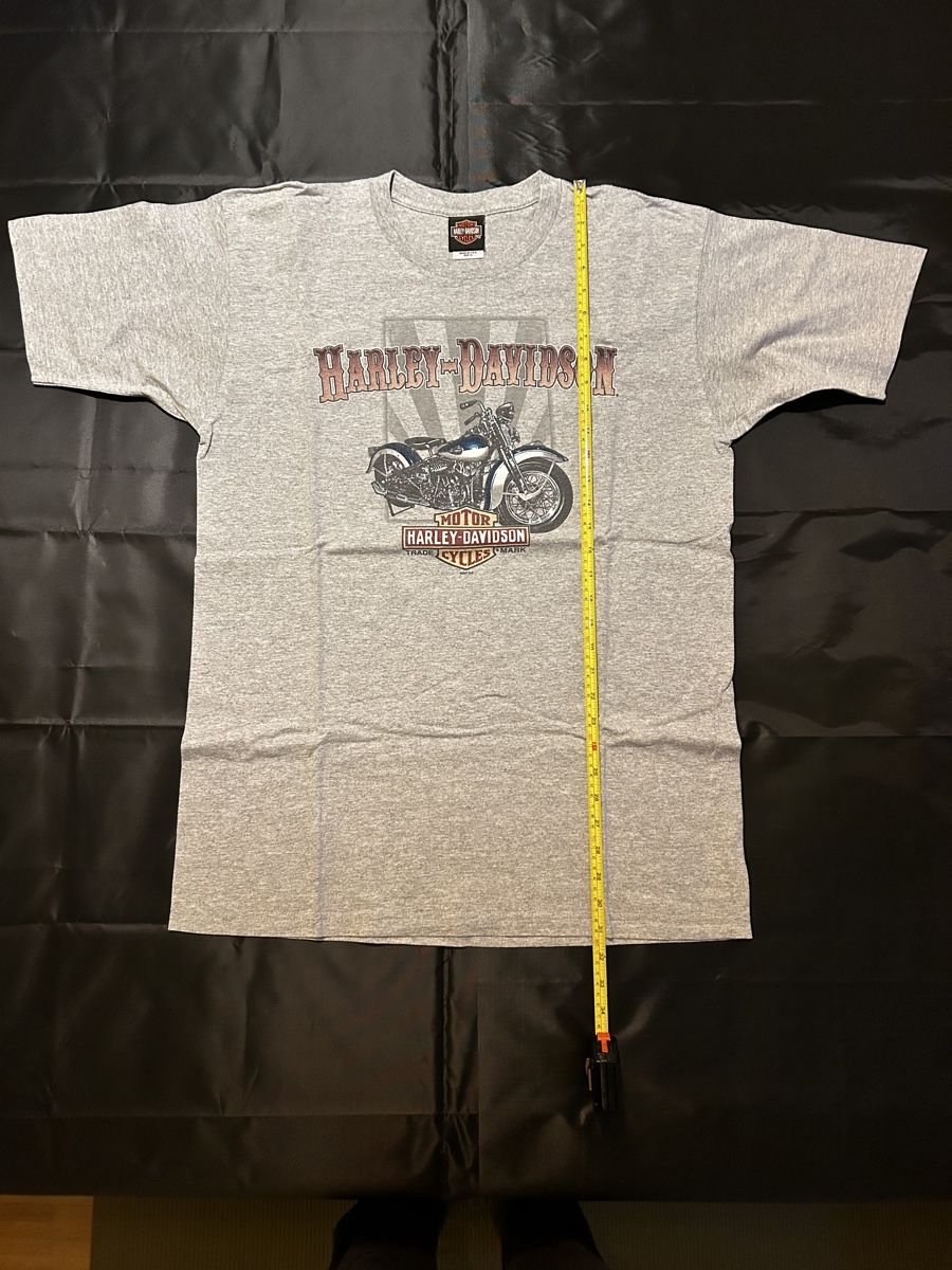 T-shirt: Harley Davidson T-Shirt XL – Usato da Bern venduto da jonathanconconi 2