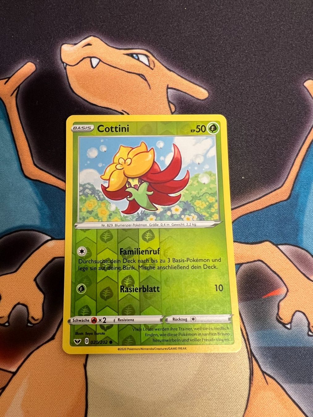 Pokémon Carte collezionabili: Cottini (SSH 20) - Reverse Holo - Schwert & Schild – Nuovo (secondo la descrizione) da Bülach venduto da Pfrenzel