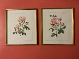 Gerahmte Rosenbilder, Frühlingsdeko, Wandkunst, Vintage Prin