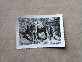 Militär Photo aus Privat Photo Album,  Antik