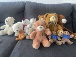 Teddybär-Paket  12 Plüschbären 