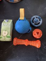 Hundespielzeug 5-teilig 