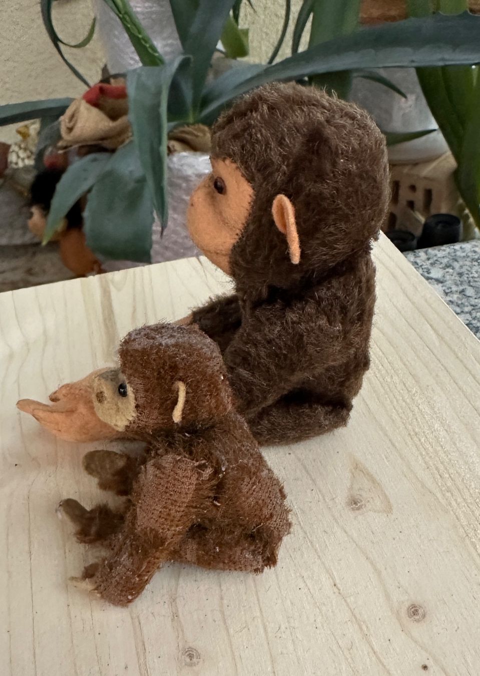 Steiff Giocattoli: 2 Äffchen Steiff Affe ca. 12 und 18 cm – Usato da Zürich venduto da brazerola 3