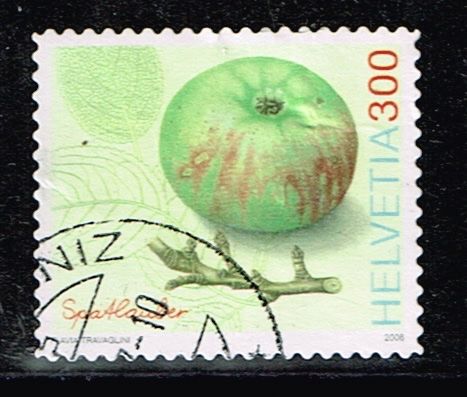 Tutti i francobolli: 2006 Freim. "Alte Obstsorten", gestempelt, – Usato da Blumenstein venduto da minos02 1