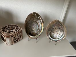 Edle Abalone-Muscheln / Paua-Muscheln im Set – dekorative Na