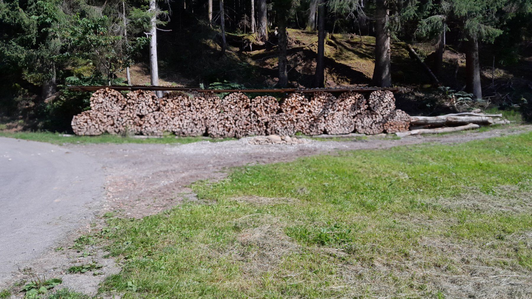 Articoli in legno: Brennholz – Usato da Süderen venduto da M404