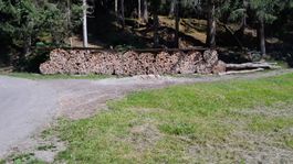 Brennholz