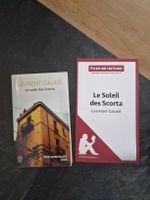 Laurent Gaudé: Le Soleil des Scorta
