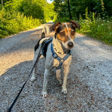 Profile image of Amica099