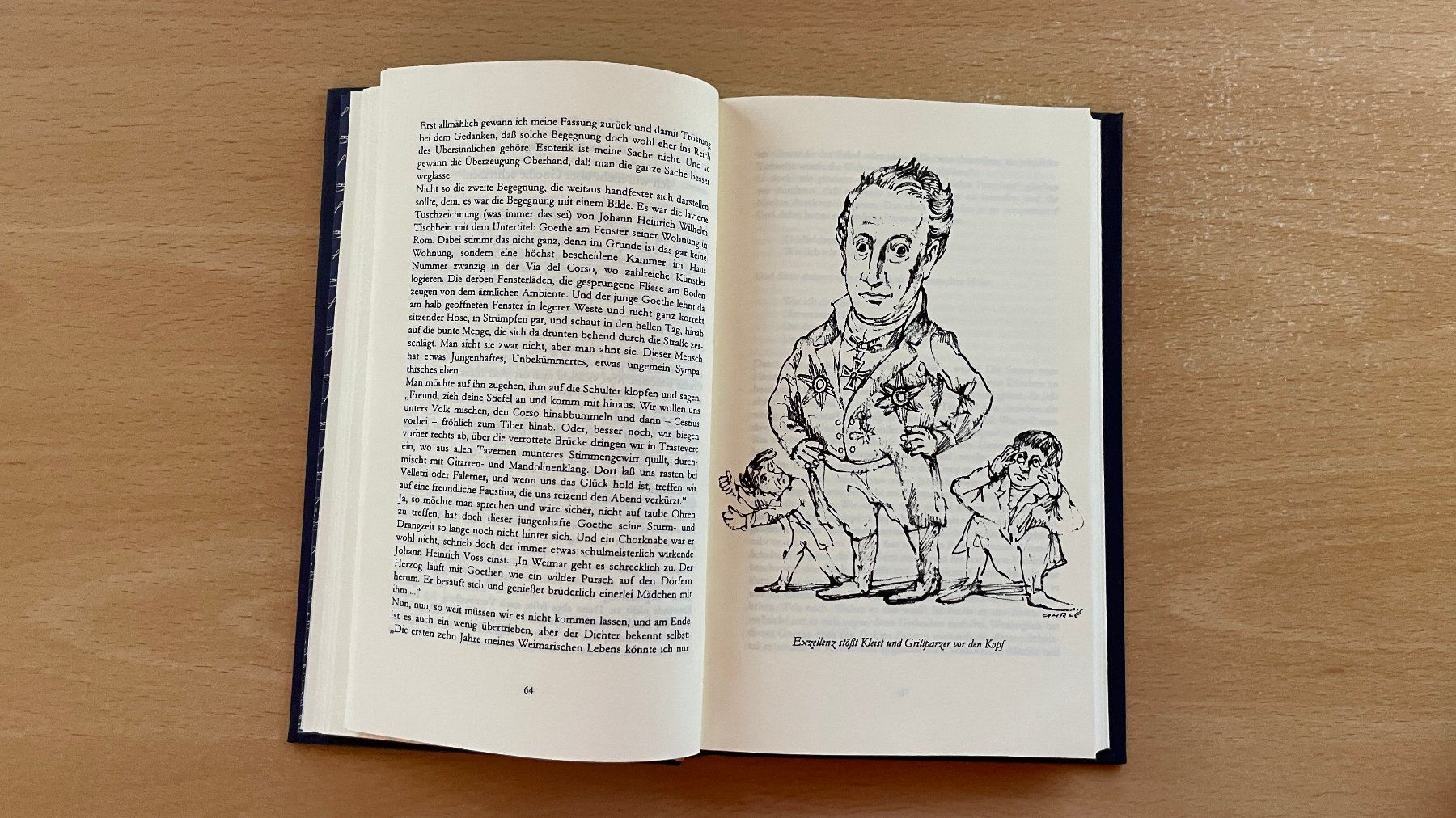 Libri: Im Namen Goethes! – Usato da Glattfelden venduto da cybermaxx 6